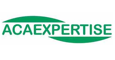 Ingénierie Conseil Professionnel