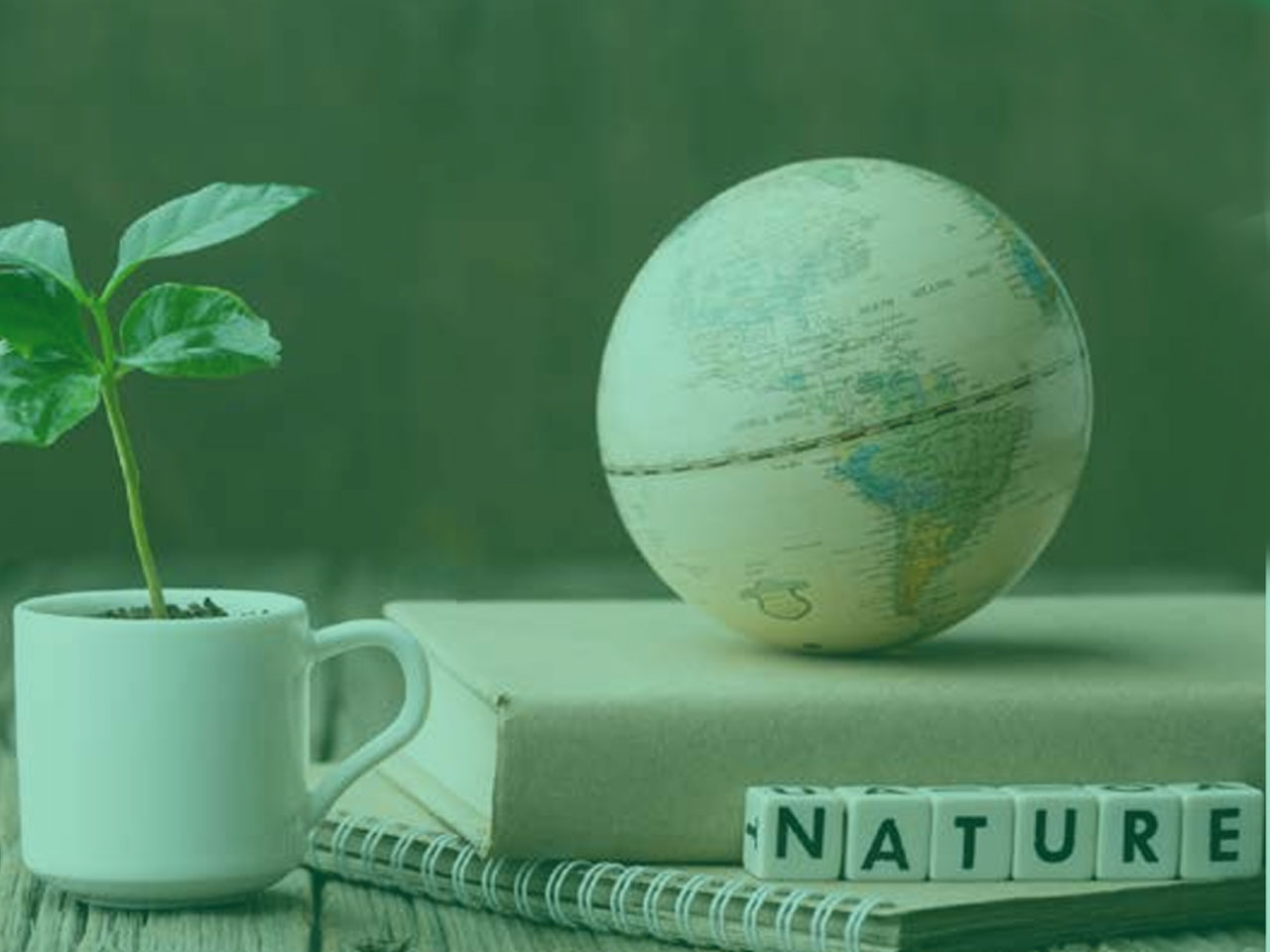 ÉLABORATION D’UN RAPPORT RSE (RESPONSABILITÉ SOCIÉTALE DES ENTREPRISES)